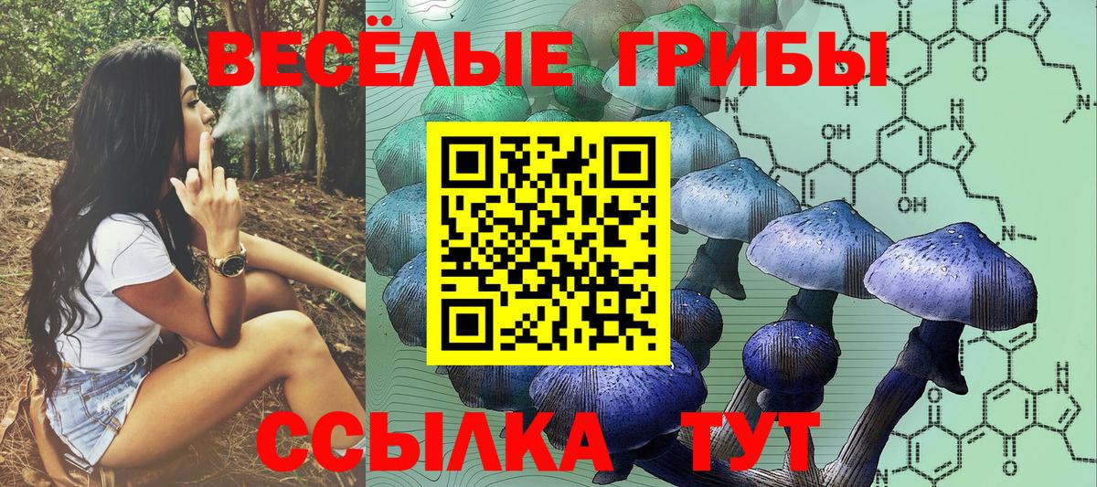 Галлюциногенные грибы Cubensis  Вход с VPN  Бийск 